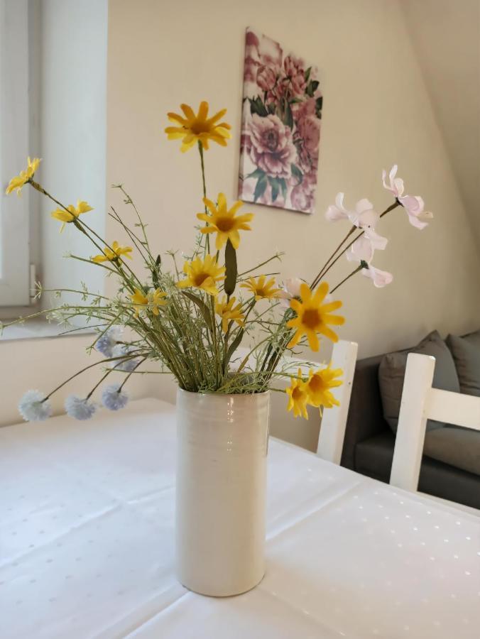 Apartmany Ceska Kanada Český Rudolec Exterior foto